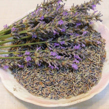 Load image into Gallery viewer, Natural Lavender Buds
